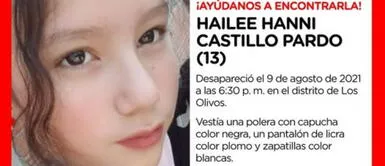 Menor desaparece luego que madre le desinstalara videojuego Los Olivos: menor desaparece luego que madre le desinstalara videojuego