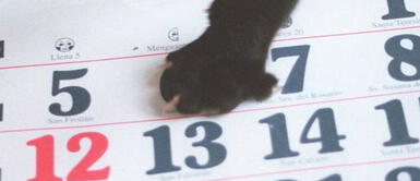 Descubre el origen de la historia y su vínculo con la mala suerte ¿Cuál es el origen del viernes 13 y por qué se vincula a la mala suerte?