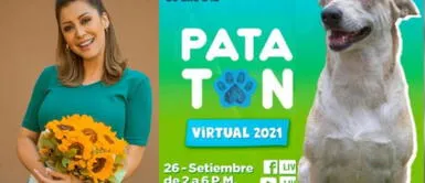 Karla Tarazona se sumó al evento virtual de la Patatón. Karla Tarazona se une a la Patatón: Conoce cómo ayudar a animales discapacitados y en estado de abandono