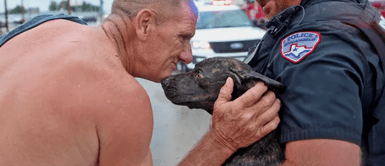 Adulto mayor arriesgó su vida para rescatar a un cachorro atrapado en una inundación Adulto mayor arriesgó su vida para rescatar a un cachorro atrapado en una inundación