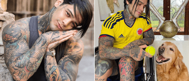 Influencer sobrevivió tras caer de un segundo piso y prometió crear un refugio para perros y gatos Influencer sobrevivió tras caer de un segundo piso y prometió crear un refugio para perros y gatos