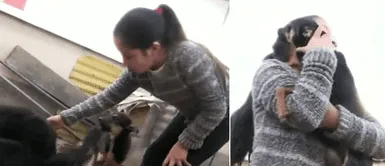 Niña de 9 años rescató a 30 perros en situación de calle: Niña de 9 años rescató a 30 perros en situación de calle: "No tenían dónde dormir"