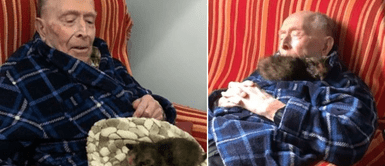 Anciano de 100 años adoptó un gatito para tener compañía hasta sus últimos días Anciano de 100 años adoptó un gatito para tener compañía hasta sus últimos días