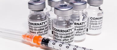 La aprobación total de la FDA de la vacuna Pfizer / BioNTech Covid-19 es 'inminente', dice un alto funcionario federal Aprobación total de la vacuna Pfizer / BioNTech COVID-19 por la FDA es inminente, dijo un alto funcionario federal