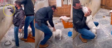TikTok viral: Perrita que vivía encadenada por años es liberada por un valeroso hombre en Brasil Perrita besa desesperadamente a su rescatista por salvarla: "Vivía encadenada en el frío"