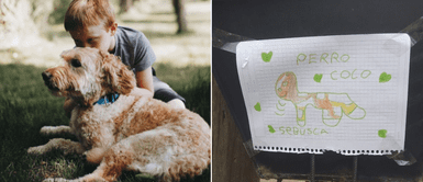 Niño recorre las calles intentando encontrar a su cachorro extraviado: Niño recorre las calles intentando encontrar a su cachorro extraviado: "Perro Coco"