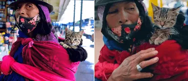 Captan a anciana vendiendo golosinas mientras carga a su gato en la espalda: Captan a anciana vendiendo golosinas mientras carga a su gato en la espalda: "Es mi hijo"