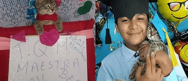 Niño de 11 años posó junto a su gatita enferma de los ojos en su graduación escolar Niño de 11 años posó junto a su gatita enferma de los ojos en su graduación escolar