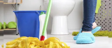 Trucos para evitar malos olores en el baño. ¿Cómo evitar los malos olores en los baños de nuestras casas?