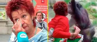 El personal del Zoo se mostró preocupado por el primate Chita y tomaron drástica decisión. Zoológico prohíbe el ingreso a una mujer por tener un 'amorío' con un primate