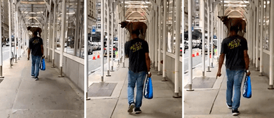 Captan a joven paseando a su cachorro en los hombros mientras visitan un centro comercial Captan a joven paseando a su cachorro en los hombros mientras visitan un centro comercial