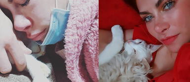 Xoana González se despide de su gatito Xoana González se despide de su gatito 'Porno': "Que descanse en paz"