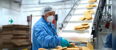 Se busca aprovechar la sangre de pollo para vencer la anemia en infantes. #ChallengeAnemia: Concurso que busca minimizar los índices de esta afección en el Perú