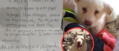 Niño dejó a su perro en un refugio porque su papá lo golpeaba y prometió regresar Niño abandonó a su perro en un refugio porque su papá lo maltrataba y prometió regresar