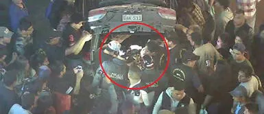 Independencia: PNP detuvo una camioneta con varios perros muertos que serian llevados a restaurante Independencia: PNP intervino camioneta con varios perros muertos que serian llevados a local de comida