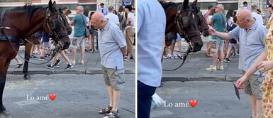 Captan a anciano mientras intenta hablar con un caballo de paseo: ¿Quieres ser libre? "¿Quieres ser libre?": la ayuda de un anciano tras encontrase con un caballo de paseo