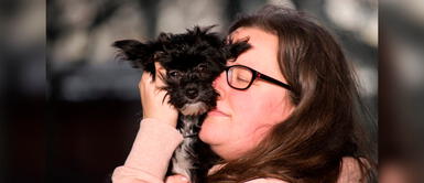 ¿Qué significa cuando tu perro te sigue a todos lados? Conoce por qué tu perro te persigue a todos lados