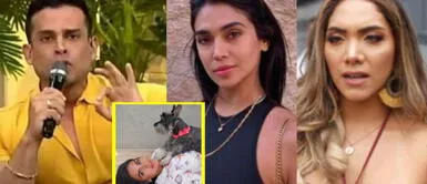 Christian Domínguez respondió a los comentarios que le hicieron sus compañeros sobre sus exmascotas. Christian Domínguez revela si dejó en abandono a los perritos de Vania e Isabel: "Respeten a los animales"