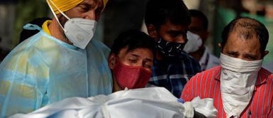 India enfrenta una nueva crisis sanitaria por el Nipah, un virus más peligroso que la COVID-19 India enfrenta una nueva crisis sanitaria por el Nipah, un virus más peligroso que la COVID-19