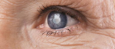 ¿Cuáles son las enfermedades oculares que afectan a los adultos mayores? ¿Cuáles son las enfermedades oculares que afectan a los adultos mayores?