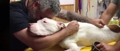 Hombre abraza entre lágrimas a su perro de 14 años y segundos después fallece: Hombre abraza entre lágrimas a su perro de 14 años y segundos después fallece: "No me abandones"