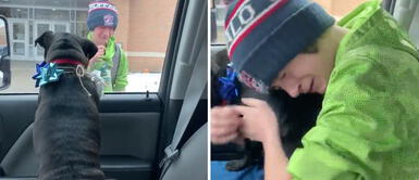 Niño rompió en llanto y abrazó al reencontrarse con su cachorro extraviado: Niño rompió en llanto y abrazó al reencontrarse con su cachorro extraviado: "Estaba todo enfermo"