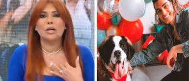 Magaly Medina arremetió fuerte contra el modelo. Magaly Medina enfurece con 'El principito' al vender a Baloo a mil dólares: “Estaba con el ojo infectado”
