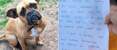 Facebook viral: Bulldog es abandonado por su dueño junto a una emotiva carta: Es el perro más dulce que conocerás fotos "Es el perro más dulce que conocerás": la emotiva carta que dejaron junto a un bulldog abandonado