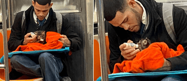 Captan a joven utilizando el tren para alimentar a un gatito recién nacido que rescató Captan a joven utilizando el tren para alimentar a un gatito recién nacido que rescató