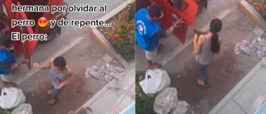 El video del perrito desató las carcajadas de miles de personas en redes. Mujer olvida a su mascota durante un paseo y perro vuelve a casa en mototaxi