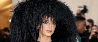 Esta edición de la MET Gala contó con la presencia de muchos influencers. Addison Rae, Emma Chamberlain y todos los influencers que asistieron al MET Gala