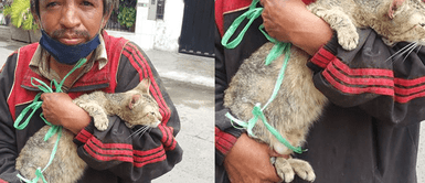 SJL: Indigente cuida de un gato callejero mientras intenta conseguirle un hogar para siempre SJL: Indigente cuida de un gato callejero mientras intenta conseguirle un hogar para siempre