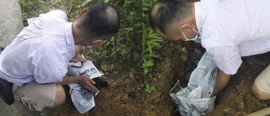 Denuncian a hombre que tiró el cuerpo de su perro fallecido a la calle: Denuncian a hombre que tiró el cuerpo de su perro fallecido a la calle: "Fue atacado"