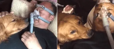 Hombre que duerme conectado a un ventilador mecánico es cuidado por su cachorro Hombre que duerme conectado a un ventilador mecánico es cuidado por su cachorro