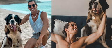 Giuseppe Benignini denunciaría a la mujer que le compró a su perro Baloo Giuseppe Benignini denunciaría a la mujer que le compró a su perro Baloo