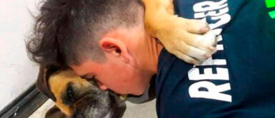 Captan a cachorra abrazando a su dueño antes de fallecer tras sufrir un ataque por pirotécnicos Captan a cachorra abrazando a su dueño antes de fallecer tras sufrir un ataque por pirotécnicos