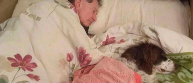 El perrito Spike sufrió dos derrames cerebrales. Hombre conmueve al dormir con su perro de 14 años que ya no puede subir las escaleras