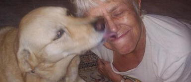 Mujer de 74 años se arrojó sobre un caimán de casi 2 metros para salvar a su perro Mujer de 74 años se arrojó sobre un caimán de casi 2 metros para salvar a su perro