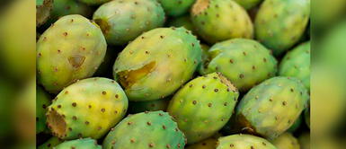 Conoce los beneficios de la tuna para la salud. Tuna, el delicioso superalimento para prevenir y combatir los resfríos