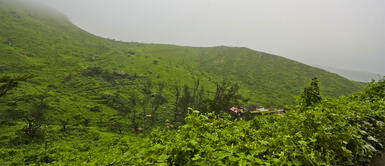 Lomas costeras: conoce qué son, sus características e importancia y cuántas hay en nuestro país. Lomas costeras: conoce qué son, sus características e importancia y cuántas hay en Perú