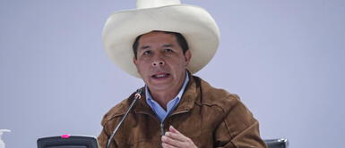 Pedro Castillo no tiene capacidad de liderazgo para resolver problemas del país, según Ipsos Pedro Castillo no tiene capacidad de liderazgo para resolver problemas del país, según Ipsos