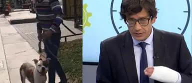 Jaime Chincha presenta denuncia formal contra dueño de pitbull sin bozal que le mordió la mano Jaime Chincha presenta denuncia formal contra dueño de pitbull que le mordió la mano