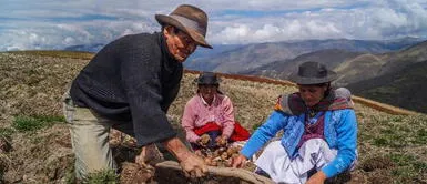 MIDAGRI lanzará el 3 de octubre la llamada segunda reforma agraria. Gobierno lanzará la Segunda Reforma Agraria en Sacsayhuamán