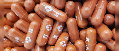 Personas fallecidas en el estudio no tomaron la píldora anticovid. ¿Cuánto podría costar la píldora contra la COVID-19?