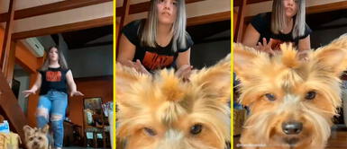 El can mostró su habilidad para ganar en el reto de Squid game. Perrito juega junto a su dueña el reto Muévete luz verde de la serie 'El juego del calamar'