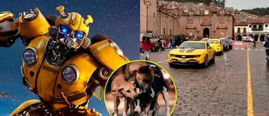 Perros lograron ingresar al centro histórico pese a varios intentos de detenerlos. Transformers en Cusco: Perros burlan seguridad de la producción e interrumpen grabaciones