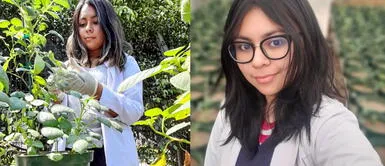 Estudiante busca combatir la malnutrición a través de papas biofortificadas Estudiante busca combatir la malnutrición a través de papas biofortificadas