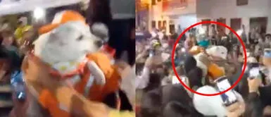 El perrito Beethoven se perdió ocho días en el pueblo colombiano de Santa Bárbara. Cuando regresó, los vecinos lo ovacionaron. Perrito callejero vuelve al pueblo y es ovacionado por todos los vecinos | VIDEO