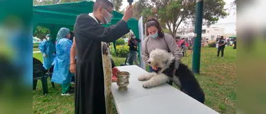 Campañas antirrábicas se realizarán esta semana en varios puntos de Surco. Cura bendijo a perritos 'pecadores' e invitó a vecinos a seguir vacunando a sus canes contra la rabia