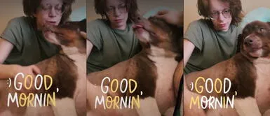 Nieto rescata perro de su abuelo y le da nueva vida Perro de abuelo fallecido por COVID-19 es rescatado por su nieto para no ser sacrificado